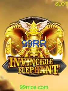 InvincibleElephant
